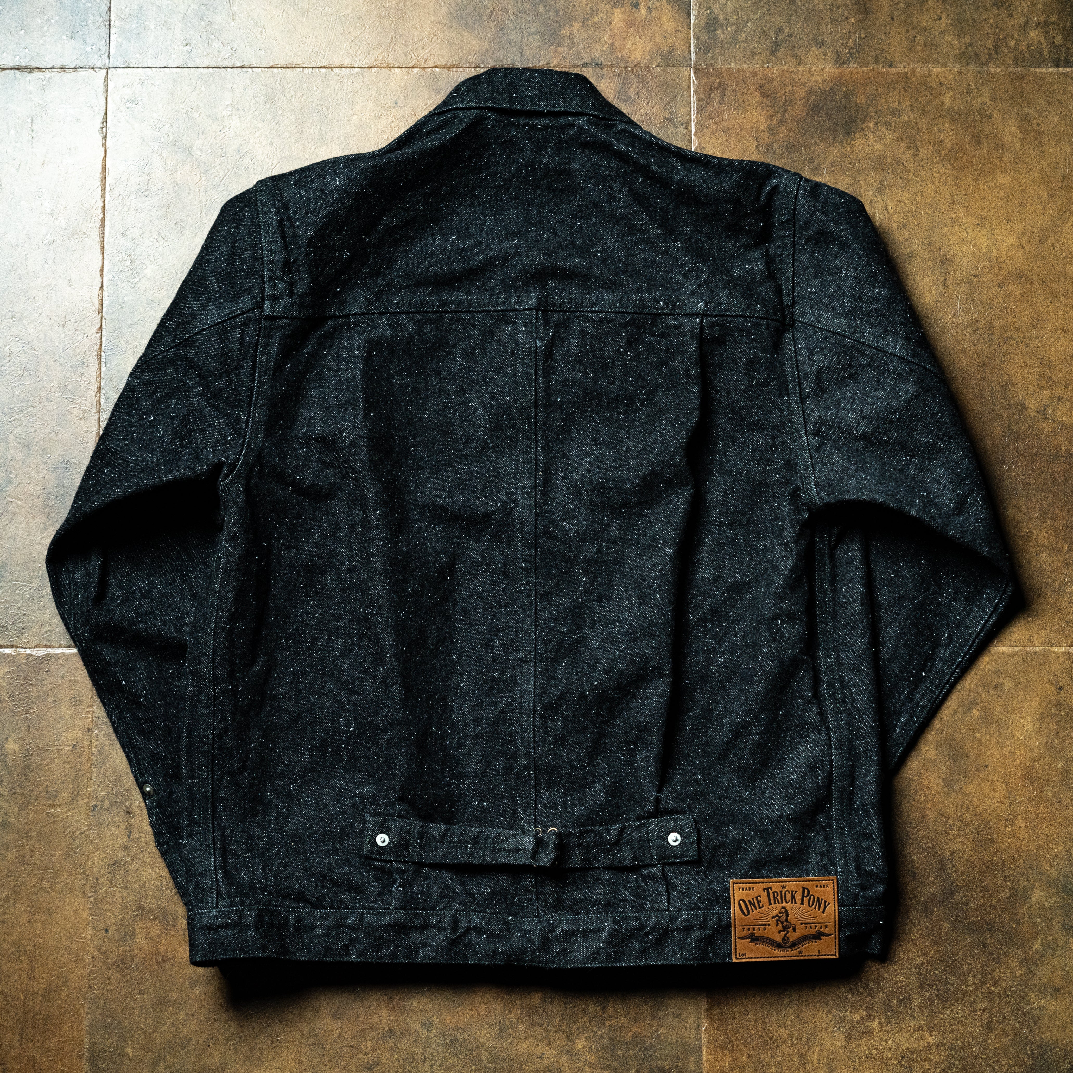 ONE TRICK PONY – One trick pony